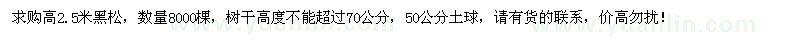 求購(gòu)高2.5米黑松8000棵