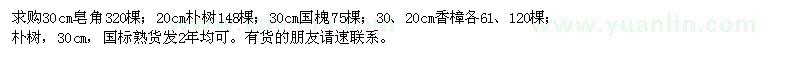 求購皂角,樸樹,國槐,香樟