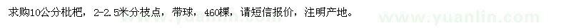 求購10公分枇杷