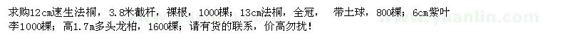 求購速生法桐、法桐、紫葉李、龍柏