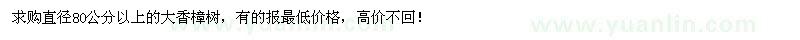 求購直徑80公分以上大香樟樹