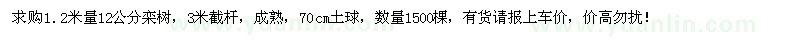 求購1.2米量12公分欒樹1500棵