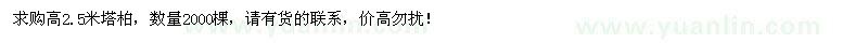 求購(gòu)高2.5米塔柏2000棵