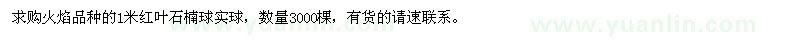 求購1米紅葉石楠球實球