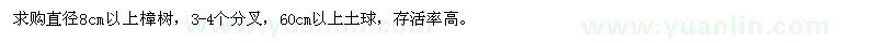 求購直徑8cm以上樟樹