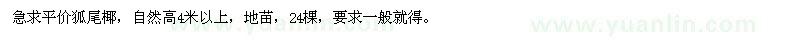 求購狐尾椰24棵
