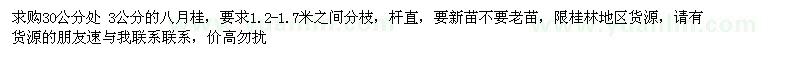 求購30公分處 3公分的八月桂