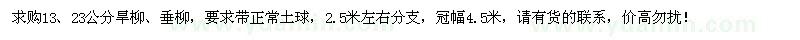 求購13、23公分旱柳、垂柳