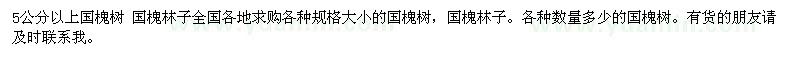 求購5公分以上國槐樹 國槐林子