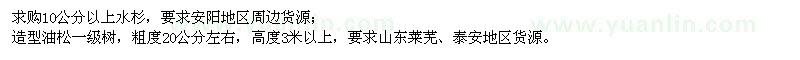 求購10公分以上水杉,造型油松