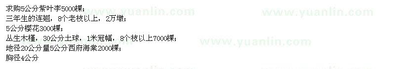 求購紫葉李,連翹,櫻花,木槿,西府海棠,椿樹,速生法桐