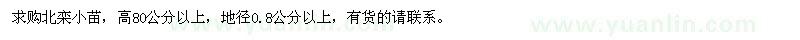 求購北欒小苗