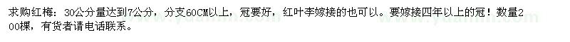 求購紅梅