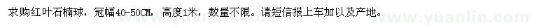 求購(gòu)紅葉石楠球