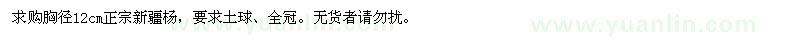 求購胸徑12cm正宗新疆楊