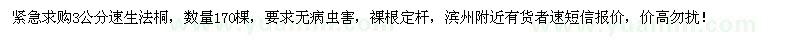 求購(gòu)3公分速生法桐170棵