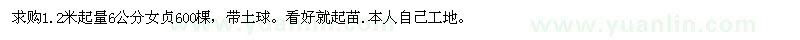 求購1.2米起量6公分女貞