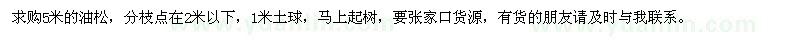 求購5米油松