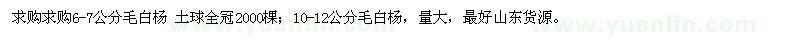 求購毛白楊