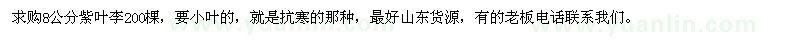 求購(gòu)8公分紫葉李200棵