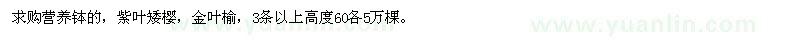 求購營養(yǎng)缽的，紫葉矮櫻，金葉榆