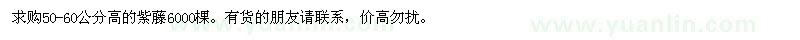 求購50-60公分高的紫藤6000棵