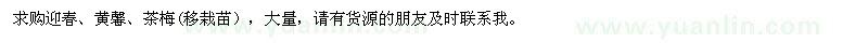 求購迎春、黃馨、茶梅
