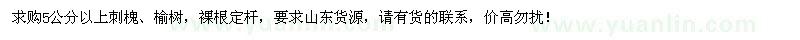 求購(gòu)5公分以上刺槐、榆樹