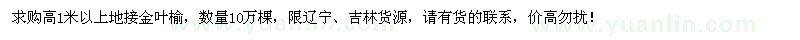 求購高1米以上地接金葉榆10萬棵