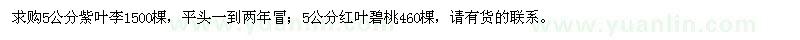 求購(gòu)5公分紫葉李、紅葉碧桃