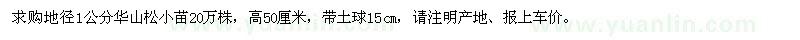 求購(gòu)華山松小苗20萬(wàn)
