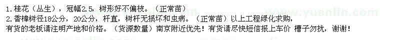求購桂花（叢生）、香樟