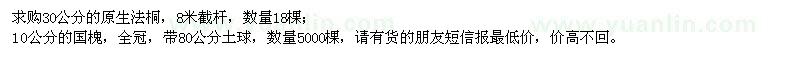 求購(gòu)原生法桐、國(guó)槐