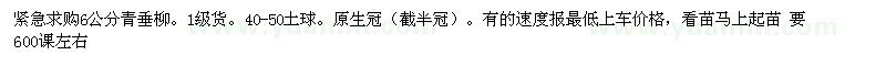 求購6公分青垂柳1級貨。40-50土球 