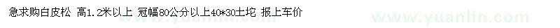 求購(gòu)白皮松高1.2米以上 