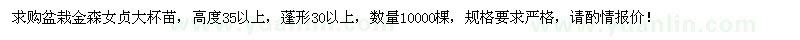 求購(gòu)盆栽金森女貞