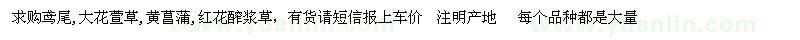 求購(gòu)鳶尾,大花萱草,黃菖蒲,紅花醡漿草