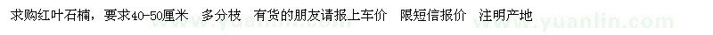 求購40-50厘米高紅葉石楠