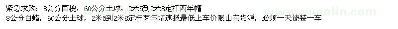 求購8公分國槐、8公分白蠟