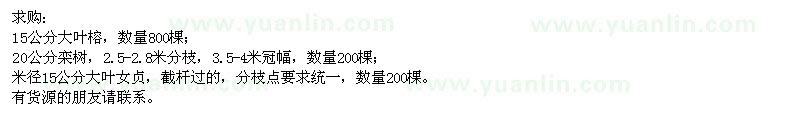 求購大葉榕,欒樹,大葉女貞
