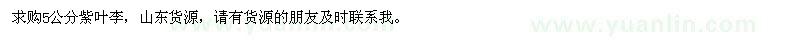 求購(gòu)5公分紫葉李