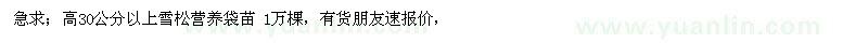 求購高30公分以上雪松營養(yǎng)袋苗 1萬棵 