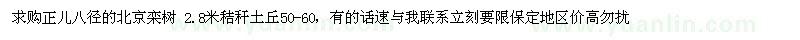 求購正兒八徑的北京欒樹 2.8米秸稈土丘50-60 