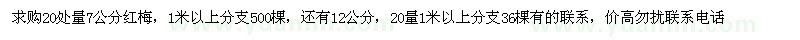 求購20處量7公分12公分紅梅