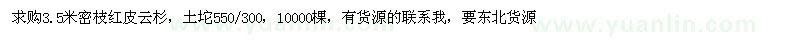 求購3.5米密枝紅皮云杉 
