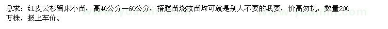 求購紅皮云杉留床小苗，高40公分--60公分 