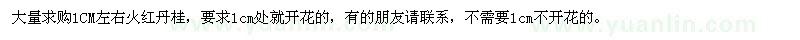 求購1CM左右火紅丹桂