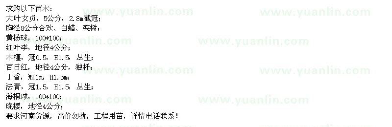 求購大葉女貞、合歡、欒樹、黃楊球等苗木 