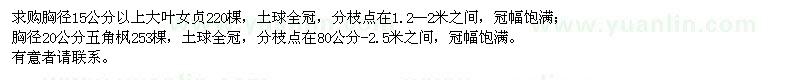 求購(gòu)大葉女貞、五角楓