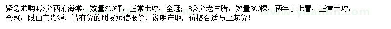 求購4公分西府海棠、8公分老白臘